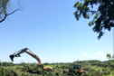 Pool 2 Levee Removal