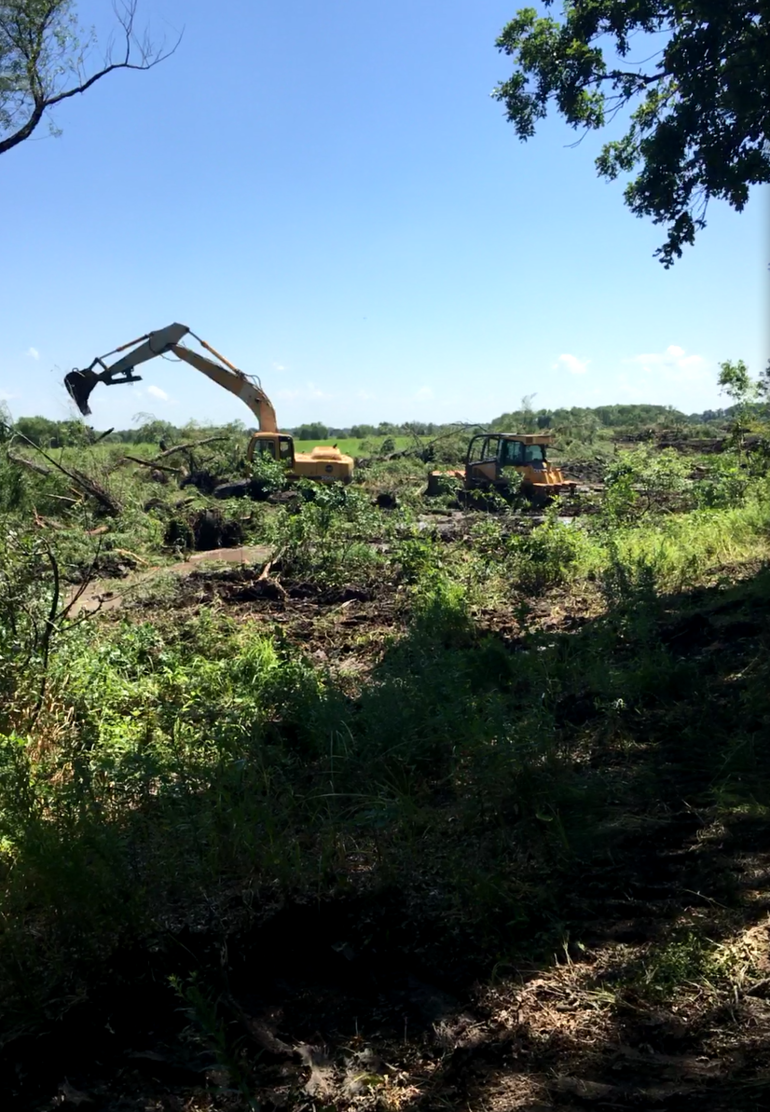 Pool 2 Levee Removal