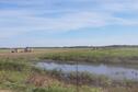South Pool 2 Levee Construction