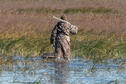 Headed out for an afternoon hunt