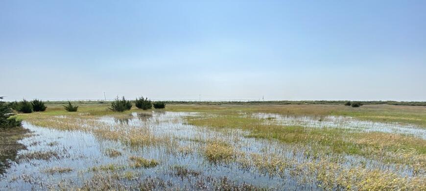 South Half Flooded