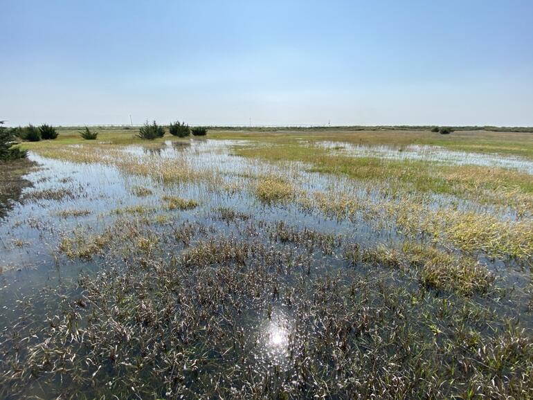 South Half Flooded