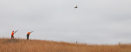 NEW ROOSTER ROUNDUP HUNTING CONTEST BEGINS NOV. 21