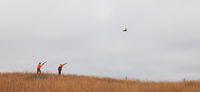 NEW ROOSTER ROUNDUP HUNTING CONTEST BEGINS NOV. 21