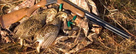PRAIRIE CHICKEN SEASON OPENS NOV. 15 PRAIRIE CHICKEN SEASON OPENS NOV. 15