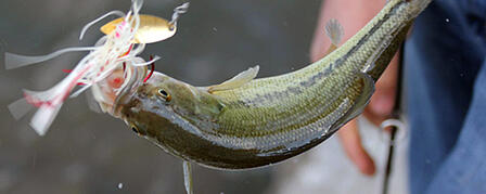 2014 FISHING FORECAST A RECIPE BOOK FOR GREAT ANGLING 2014 FISHING FORECAST A RECIPE BOOK FOR GREAT ANGLING