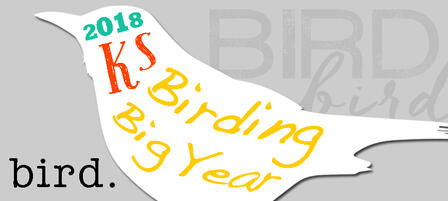 2018 Kansas Birding Big Year Contest 2018 Kansas Birding Big Year Contest