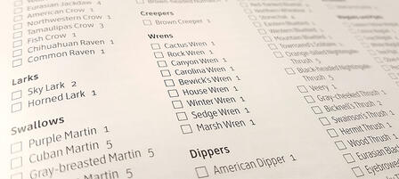Overland Park Resident Identifies 311 Species in Birding Contest Overland Park Resident Identifies 311 Species in Birding Contest