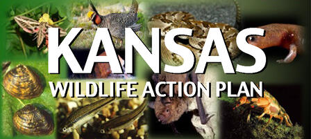 Public Input Needed for State Wildlife Action Plan Public Input Needed for State Wildlife Action Plan