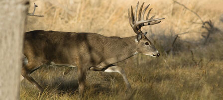 KWPT Commission Big Game Permits Awarded KWPT Commission Big Game Permits Awarded