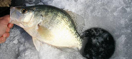 Frozen Lakes Require Caution