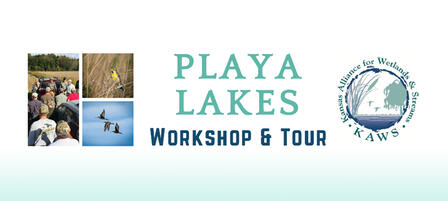 Sign Up For Playa Lakes Tour and Workshop Sign Up For Playa Lakes Tour and Workshop