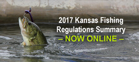 2017 Fishing Regulations Summary Available Online 2017 Fishing Regulations Summary Available Online
