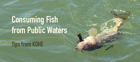2016 Fish Consumption Advisories Issued 2016 Fish Consumption Advisories Issued