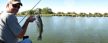 FALL BASS SAMPLING REVEALS FISHING HOTSPOTS FALL BASS SAMPLING REVEALS FISHING HOTSPOTS