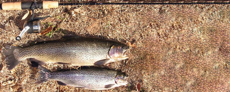 TROUT SEASON OPENS NOVEMBER 1 TROUT SEASON OPENS NOVEMBER 1