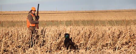 NOVEMBER STARTS WITH A BANG AND YOUTH SEASON