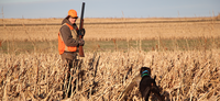 NOVEMBER STARTS WITH A BANG AND YOUTH SEASON