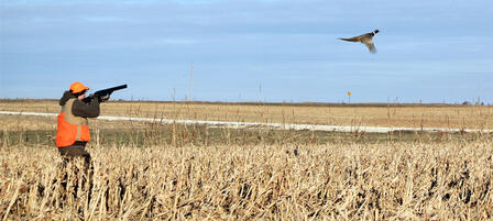 Youth Pheasant Hunt in Baldwin City Oct. 11