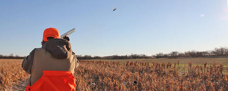 PHEASANTS FOREVER TO HOST YOUTH UPLAND HUNT OCT. 18 PHEASANTS FOREVER TO HOST YOUTH UPLAND HUNT OCT. 18