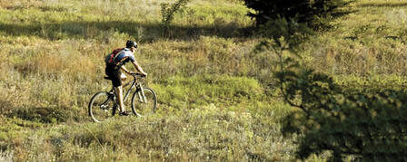 WILSON STATE PARK’S SWITCHGRASS BIKE TRAIL “EPIC” WILSON STATE PARK’S SWITCHGRASS BIKE TRAIL “EPIC”