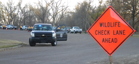 GAME WARDENS BUSY FOR PHEASANT/QUAIL SEASON OPENER
