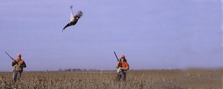 14th ANNUAL WACONDA LAKE YOUTH & WOMEN PHEASANT HUNT DEC. 10-11 14th ANNUAL WACONDA LAKE YOUTH & WOMEN PHEASANT HUNT DEC. 10-11