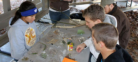 State Competition Tests Students’ Plant and Animal Knowledge State Competition Tests Students’ Plant and Animal Knowledge
