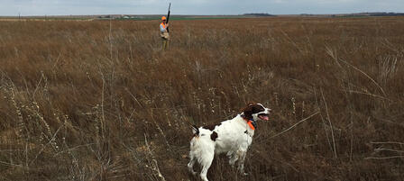 Women and Youth Invited to Celebrity Pheasant Hunt Dec. 12 Women and Youth Invited to Celebrity Pheasant Hunt Dec. 12