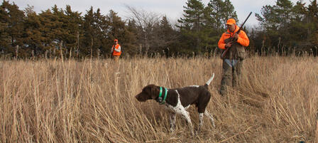 Kansas Bird Hunters Anticipate Second Saturday In November Kansas Bird Hunters Anticipate Second Saturday In November