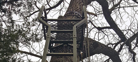 Treestand Safety Tips That Can Save Your Life Treestand Safety Tips That Can Save Your Life