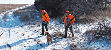 The Great Late Pheasant Season The Great Late Pheasant Season