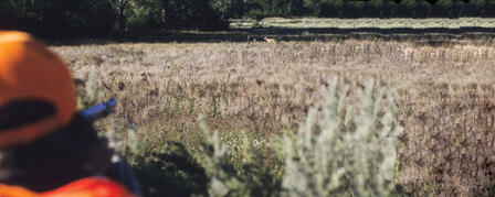 KANSAS DEER HUNTERS AIM TO FEED HUNGRY KANSAS DEER HUNTERS AIM TO FEED HUNGRY