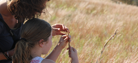 VOLUNTEERS NEEDED FOR PRAIRIE RESTORATION PROJECT