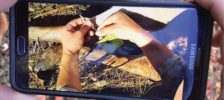 Electronically Register Deer Before Leaving The Field Electronically Register Deer Before Leaving The Field