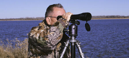 Get In The Christmas Bird Count Spirit Get In The Christmas Bird Count Spirit