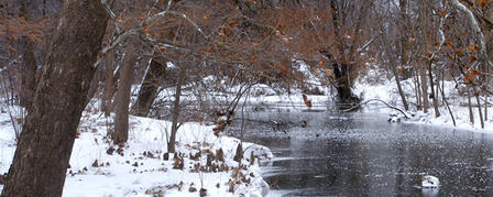 START 2014 WITH A STATE PARK FIRST DAY HIKE START 2014 WITH A STATE PARK FIRST DAY HIKE