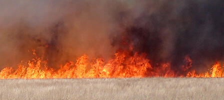 Prevent Wildfires Prevent Wildfires