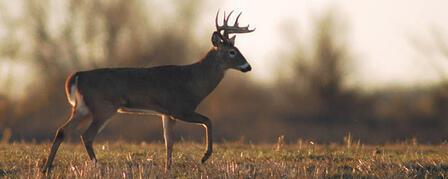 KANSAS WILDLIFE, PARKS AND TOURISM COMMISSION TO MEET JAN. 5