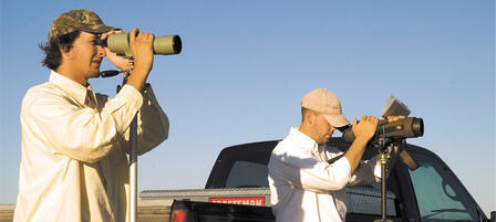 Birding Big Year Competition Begins Jan. 1 Birding Big Year Competition Begins Jan. 1