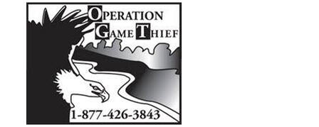 WITNESSES OF WILDLIFE-RELATED CRIMES CAN REPORT ANONYMOUSLY