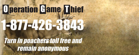 REPORT POACHERS TOLL-FREE AND REMAIN ANONYMOUS REPORT POACHERS TOLL-FREE AND REMAIN ANONYMOUS