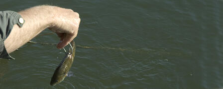 KANSAS WILDLIFE, PARKS AND TOURISM COMMISSION MOVES TO PROTECT KANSAS WATERS KANSAS WILDLIFE, PARKS AND TOURISM COMMISSION MOVES TO PROTECT KANSAS WATERS