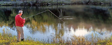FISHING FORECAST TAKES GUESS WORK OUT OF WHERE TO FISH FISHING FORECAST TAKES GUESS WORK OUT OF WHERE TO FISH