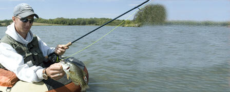 KDWPT TO RELEASE FREE CRAPPIE FISHING VIDEO KDWPT TO RELEASE FREE CRAPPIE FISHING VIDEO