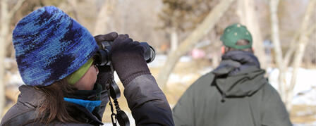 KANSAS BIRDING BIG YEAR IS BIG SUCCESS KANSAS BIRDING BIG YEAR IS BIG SUCCESS