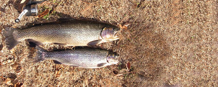 ANGLERS STALK LATE-WINTER TROUT ANGLERS STALK LATE-WINTER TROUT