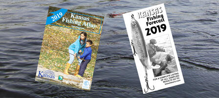 Catch Bigger Fish – Catch More Fish – Or Both! Catch Bigger Fish – Catch More Fish – Or Both!