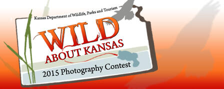 WILD ABOUT KANSAS PHOTO CONTEST NOW OPEN TO ALL AGES WILD ABOUT KANSAS PHOTO CONTEST NOW OPEN TO ALL AGES