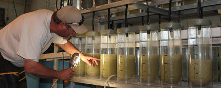 KDWPT BIOLOGISTS LOOK TO CULTIVATE 80 MILLION WALLEYE EGGS KDWPT BIOLOGISTS LOOK TO CULTIVATE 80 MILLION WALLEYE EGGS